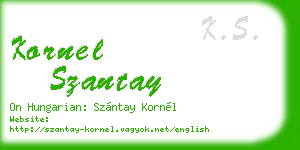 kornel szantay business card